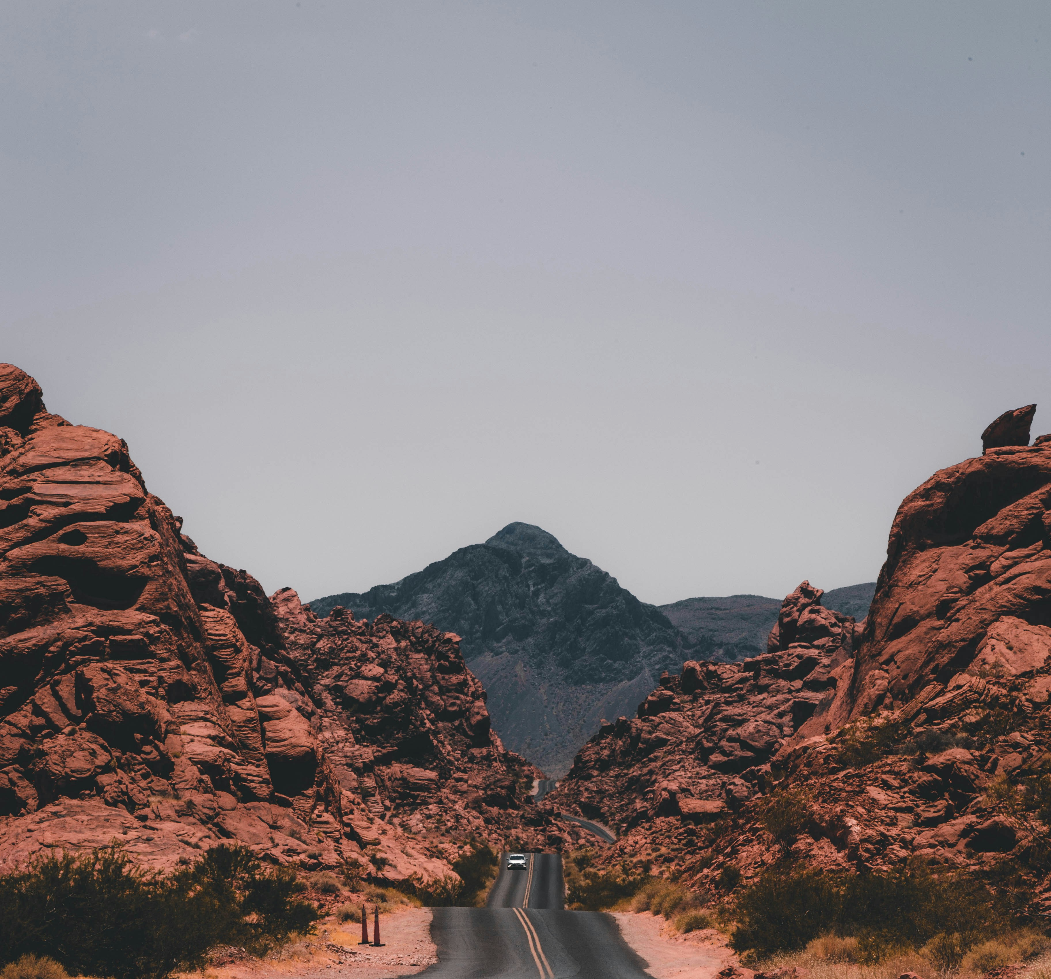  Air Fryer vs. Convection Oven: Which One Do You Actually Need?